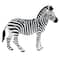 Safari Ltd&#xAE; Zebra